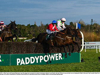 Star horses stand their ground...